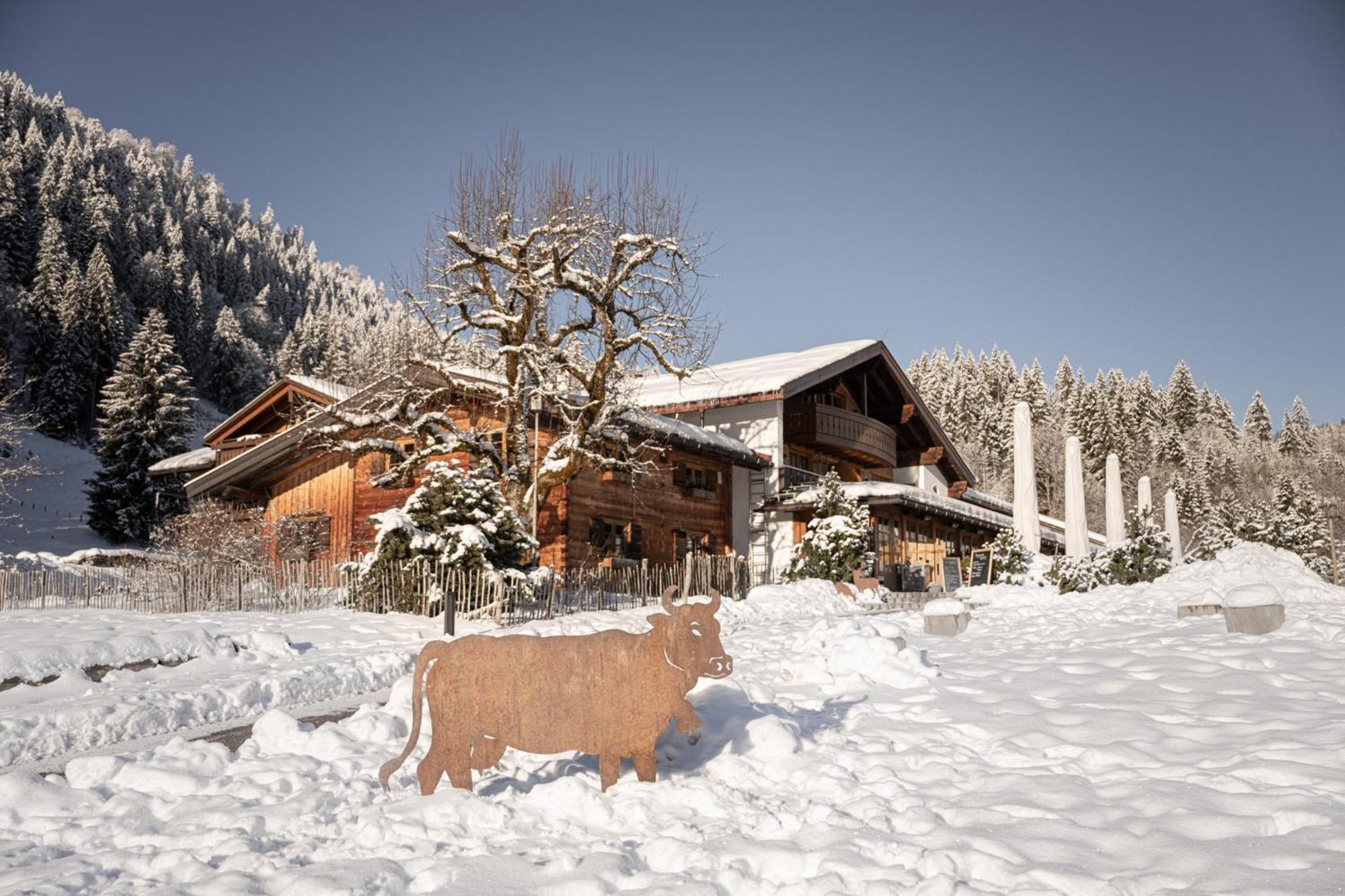 Hotel Alpe Dornach à Oberstdorf Extérieur photo